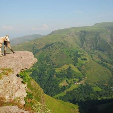 Gite Individuel Au Pays Basque A 1,5Km De St-Jean-Pied-De-Port 圣让皮耶德波尔 外观 照片