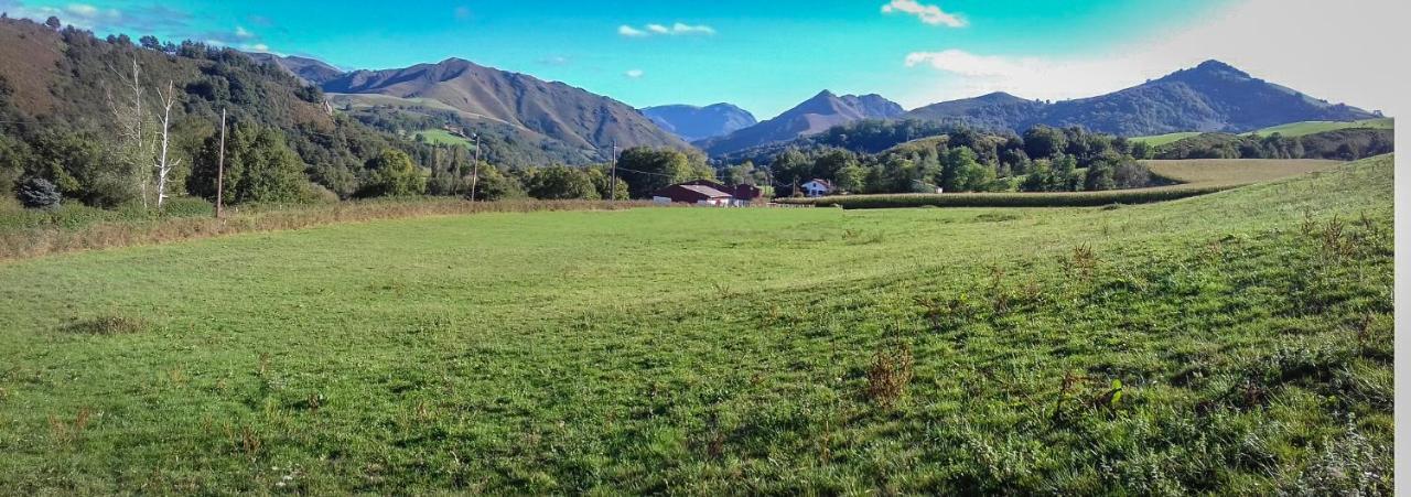 Gite Individuel Au Pays Basque A 1,5Km De St-Jean-Pied-De-Port 圣让皮耶德波尔 外观 照片
