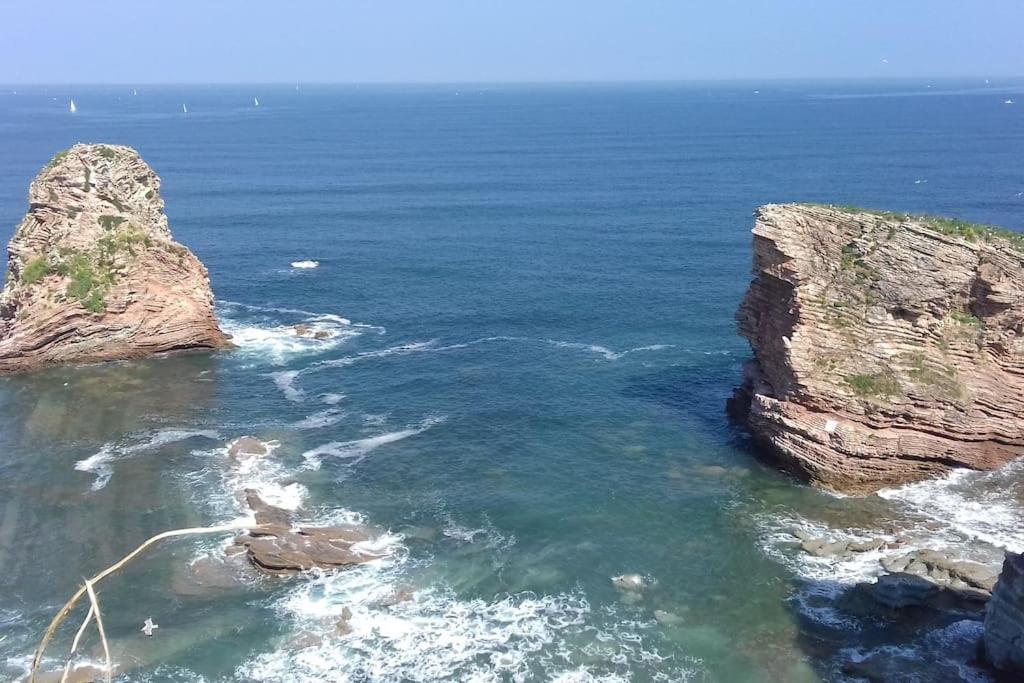 Gite Individuel Au Pays Basque A 1,5Km De St-Jean-Pied-De-Port 圣让皮耶德波尔 外观 照片