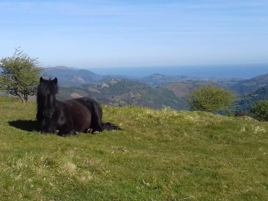 Gite Individuel Au Pays Basque A 1,5Km De St-Jean-Pied-De-Port 圣让皮耶德波尔 外观 照片