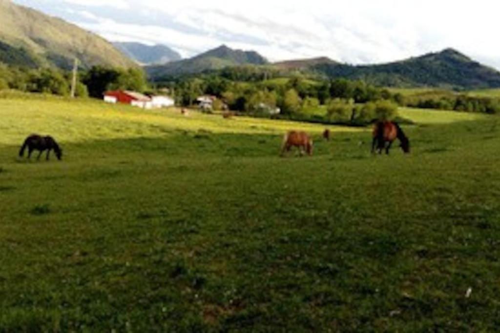 Gite Individuel Au Pays Basque A 1,5Km De St-Jean-Pied-De-Port 圣让皮耶德波尔 外观 照片