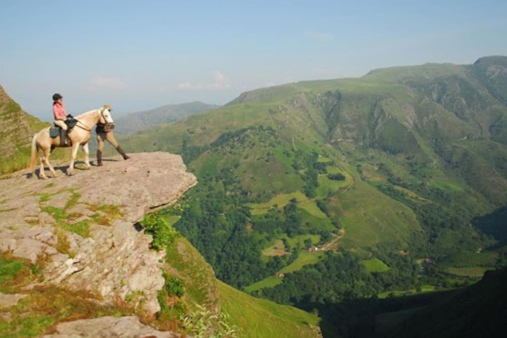 Gite Individuel Au Pays Basque A 1,5Km De St-Jean-Pied-De-Port 圣让皮耶德波尔 外观 照片