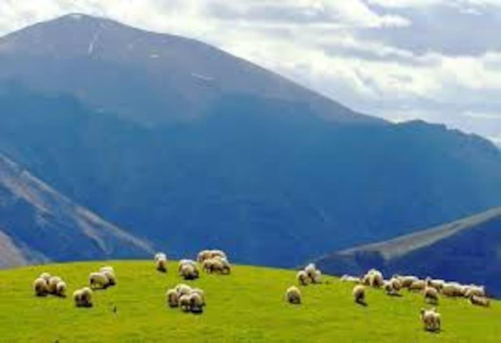 Gite Individuel Au Pays Basque A 1,5Km De St-Jean-Pied-De-Port 圣让皮耶德波尔 外观 照片